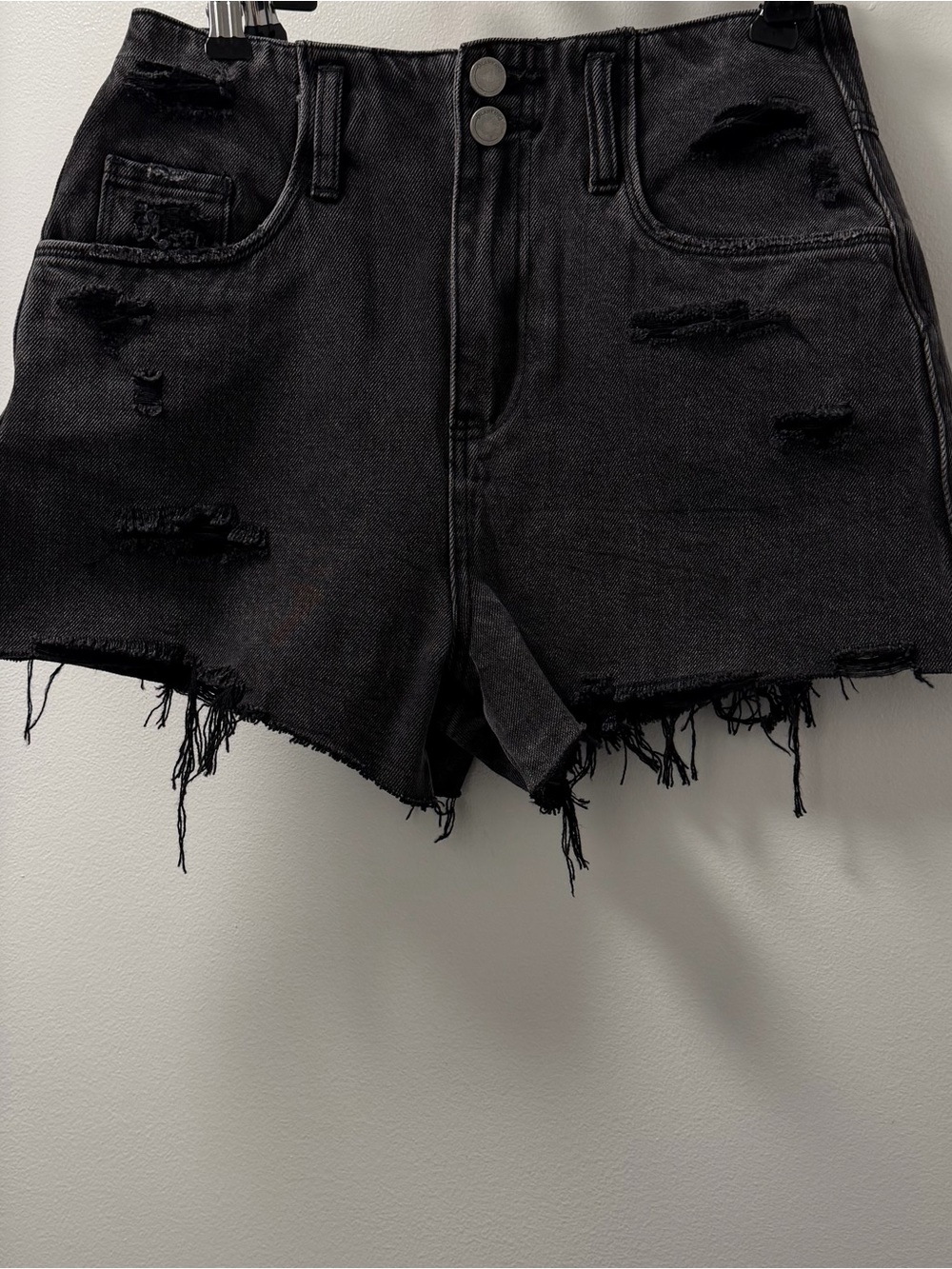 NWT BLANKNYC Night Patrol Distressed Denim Shorts 26